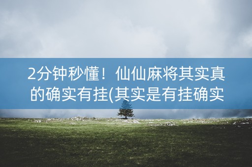 2分钟秒懂！仙仙麻将其实真的确实有挂(其实是有挂确实有挂)