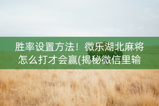胜率设置方法！微乐湖北麻将怎么打才会赢(揭秘微信里输赢规律)
