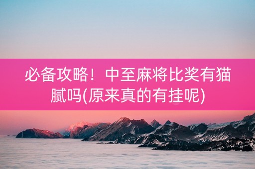 必备攻略！中至麻将比奖有猫腻吗(原来真的有挂呢)