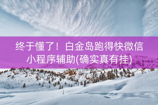 终于懂了！白金岛跑得快微信小程序辅助(确实真有挂)