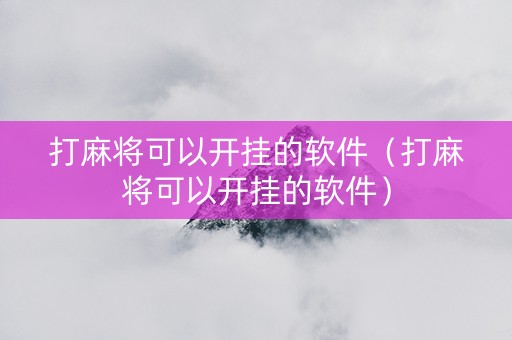 打麻将可以开挂的软件（打麻将可以开挂的软件）