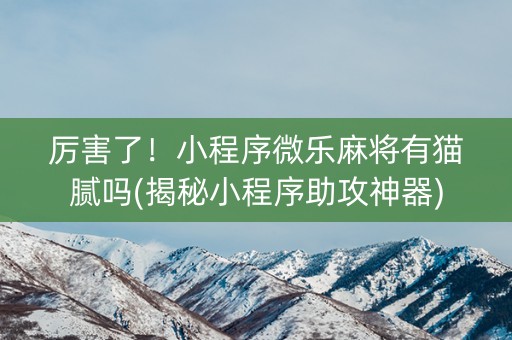 厉害了！小程序微乐麻将有猫腻吗(揭秘小程序助攻神器)