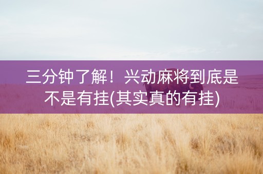 三分钟了解！兴动麻将到底是不是有挂(其实真的有挂)