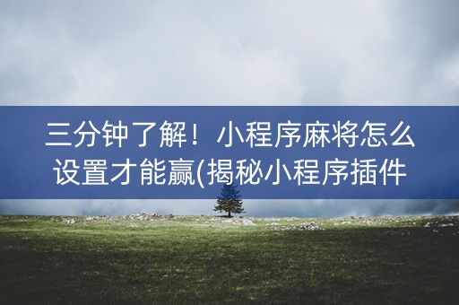 三分钟了解！小程序麻将怎么设置才能赢(揭秘小程序插件下载)