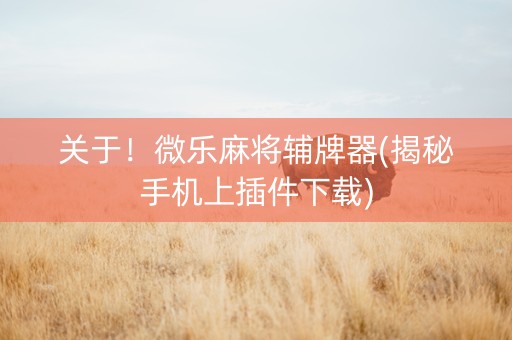 关于！微乐麻将辅牌器(揭秘手机上插件下载)