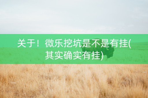 关于！微乐挖坑是不是有挂(其实确实有挂)