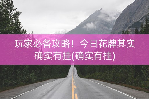 玩家必备攻略！今日花牌其实确实有挂(确实有挂)