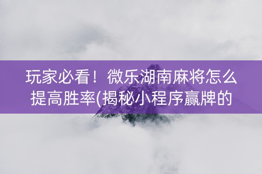 玩家必看！微乐湖南麻将怎么提高胜率(揭秘小程序赢牌的技巧)