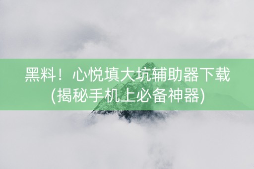黑料！心悦填大坑辅助器下载(揭秘手机上必备神器)