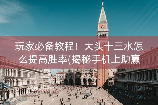 玩家必备教程！大头十三水怎么提高胜率(揭秘手机上助赢软件)