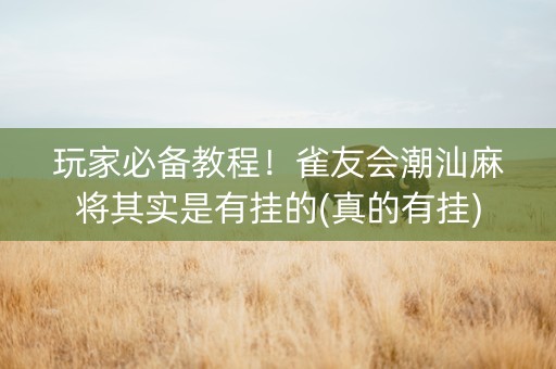 玩家必备教程！雀友会潮汕麻将其实是有挂的(真的有挂)