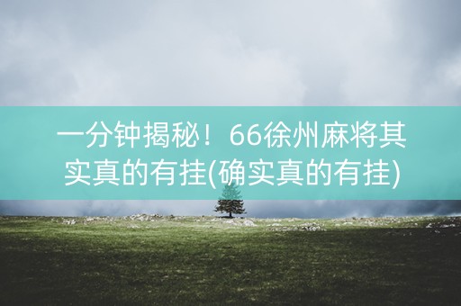 一分钟揭秘！66徐州麻将其实真的有挂(确实真的有挂)