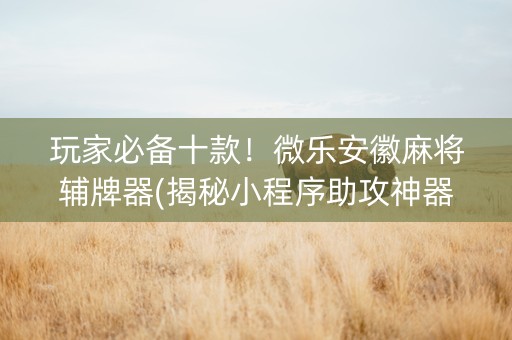 玩家必备十款！微乐安徽麻将辅牌器(揭秘小程序助攻神器)