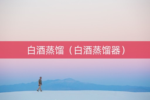 白酒蒸馏（白酒蒸馏器）