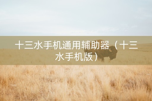 十三水手机通用辅助器（十三水手机版）