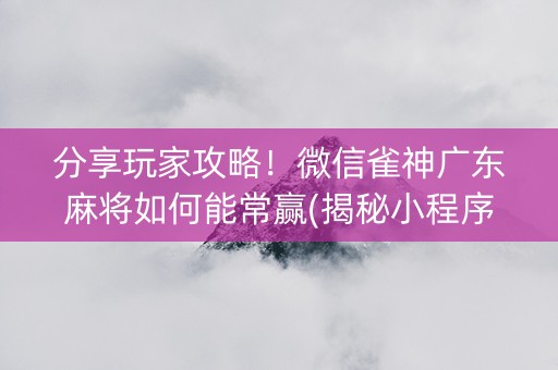 分享玩家攻略！微信雀神广东麻将如何能常赢(揭秘小程序助手软件)