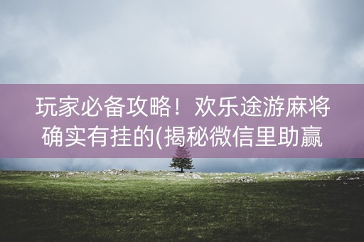 玩家必备攻略！欢乐途游麻将确实有挂的(揭秘微信里助赢软件)