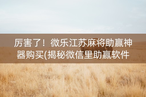 厉害了！微乐江苏麻将助赢神器购买(揭秘微信里助赢软件)