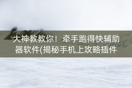 大神教教你！牵手跑得快辅助器软件(揭秘手机上攻略插件)