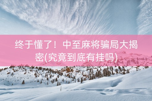 终于懂了！中至麻将骗局大揭密(究竟到底有挂吗)