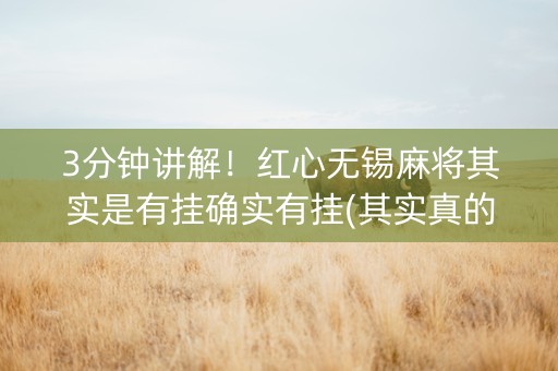 3分钟讲解！红心无锡麻将其实是有挂确实有挂(其实真的确实有挂)