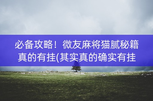 必备攻略！微友麻将猫腻秘籍真的有挂(其实真的确实有挂)
