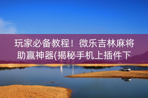 玩家必备教程！微乐吉林麻将助赢神器(揭秘手机上插件下载)
