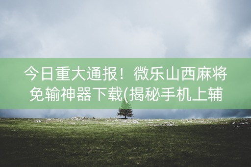 今日重大通报！微乐山西麻将免输神器下载(揭秘手机上辅牌器)