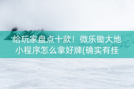 给玩家盘点十款！微乐锄大地小程序怎么拿好牌(确实有挂)