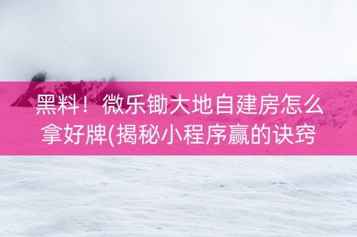 黑料！微乐锄大地自建房怎么拿好牌(揭秘小程序赢的诀窍)