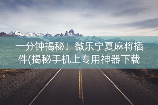 一分钟揭秘！微乐宁夏麻将插件(揭秘手机上专用神器下载)