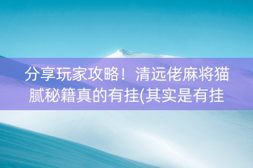 分享玩家攻略！清远佬麻将猫腻秘籍真的有挂(其实是有挂的)