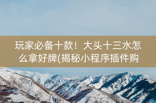玩家必备十款！大头十三水怎么拿好牌(揭秘小程序插件购买)