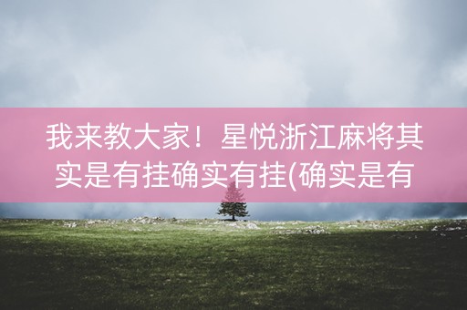 我来教大家！星悦浙江麻将其实是有挂确实有挂(确实是有挂的)