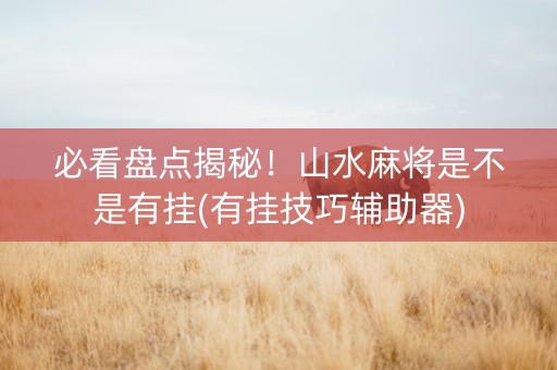 必看盘点揭秘！山水麻将是不是有挂(有挂技巧辅助器)