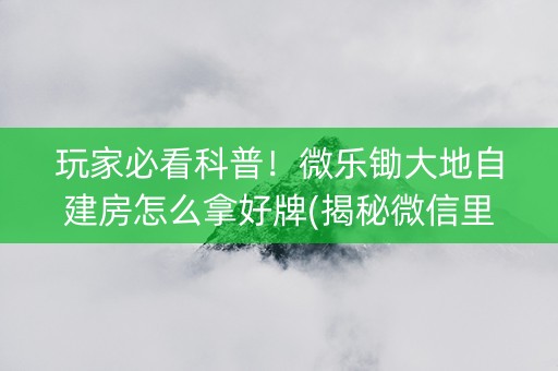 玩家必看科普！微乐锄大地自建房怎么拿好牌(揭秘微信里插件免费)