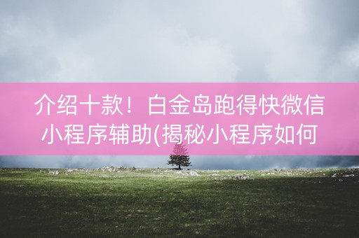 介绍十款！白金岛跑得快微信小程序辅助(揭秘小程序如何让牌变好)