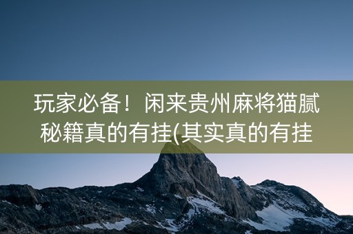 玩家必备！闲来贵州麻将猫腻秘籍真的有挂(其实真的有挂)