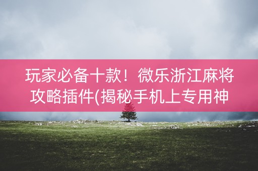 玩家必备十款！微乐浙江麻将攻略插件(揭秘手机上专用神器)