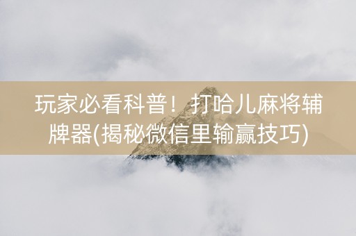 玩家必看科普！打哈儿麻将辅牌器(揭秘微信里输赢技巧)