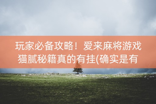 玩家必备攻略！爱来麻将游戏猫腻秘籍真的有挂(确实是有挂)