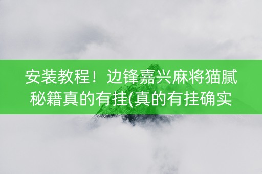 安装教程！边锋嘉兴麻将猫腻秘籍真的有挂(真的有挂确实有挂)