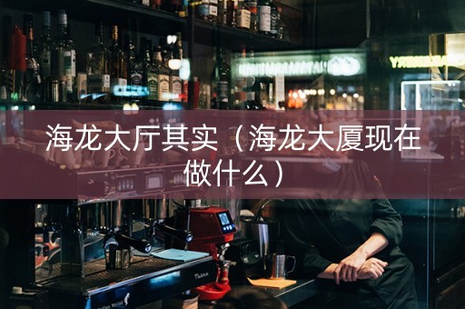 海龙大厅其实（海龙大厦现在做什么）
