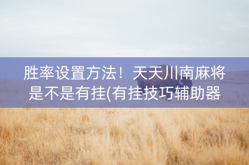 胜率设置方法！天天川南麻将是不是有挂(有挂技巧辅助器)