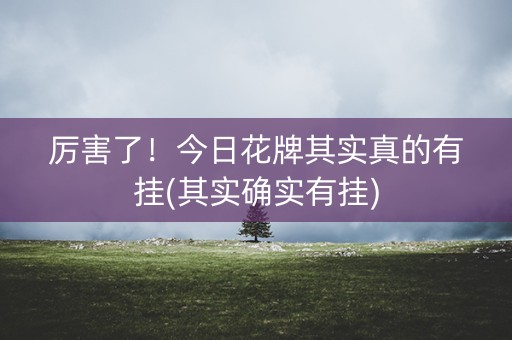 厉害了！今日花牌其实真的有挂(其实确实有挂)