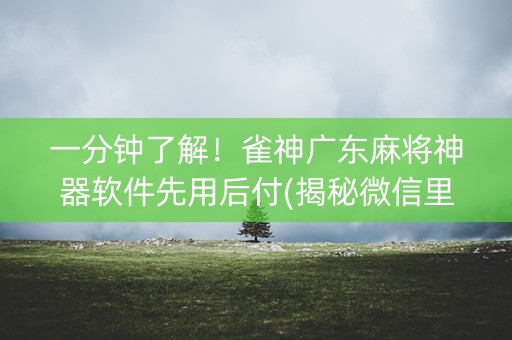 一分钟了解！雀神广东麻将神器软件先用后付(揭秘微信里怎么容易赢)