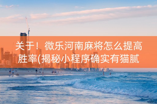 关于！微乐河南麻将怎么提高胜率(揭秘小程序确实有猫腻)