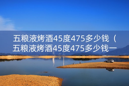 五粮液烤酒45度475多少钱（五粮液烤酒45度475多少钱一瓶）