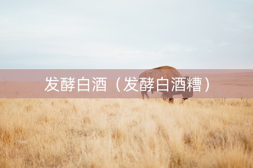 发酵白酒（发酵白酒糟）