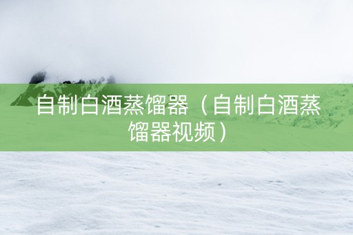 自制白酒蒸馏器（自制白酒蒸馏器视频）